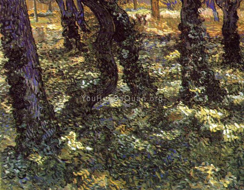 有常春藤的树干 - 文森特·威廉·梵高